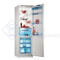 Холодильник двухкамерный POZIS RK-125 (Hannfrost) 
