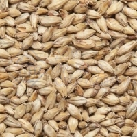 Пшеничный солод (Мюнхен), (кг), от 5 кг. Bavaria